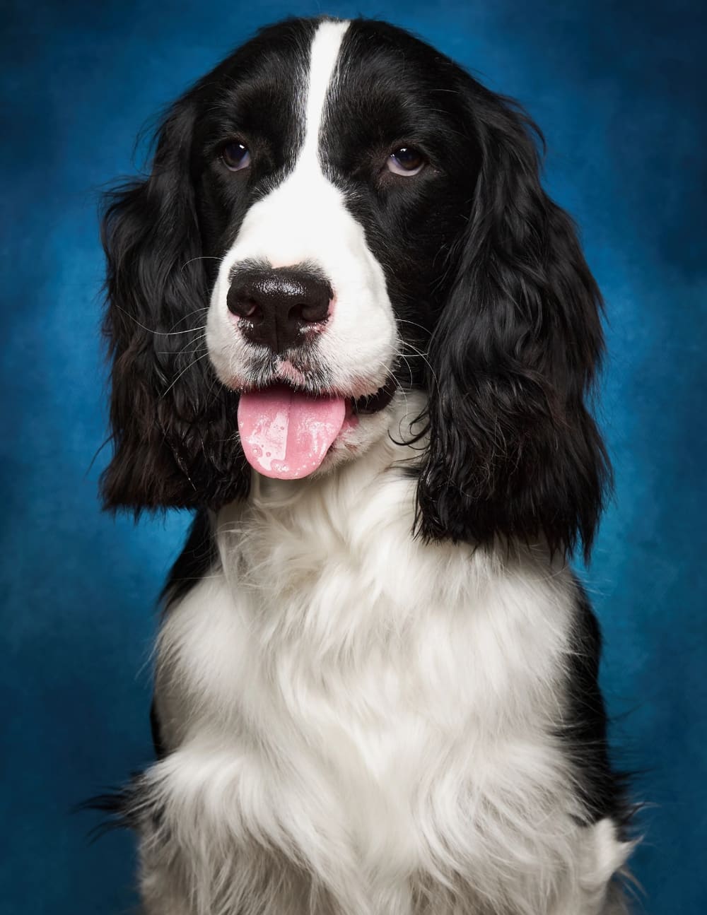 Studio Portrait style sample